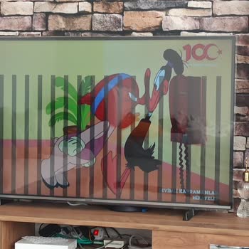 Toshiba TV Ekran Panel Arızası