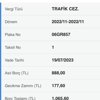 Gelir İdaresi Başkanlığı İki Bin Tl'altındaki Trafik Cezamın Silinmesini İstiyorum
