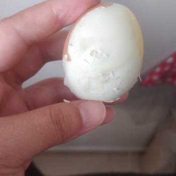 e-hamal.com E-Hamal Müşteri Şikayetini Dikkate Bile Almıyor