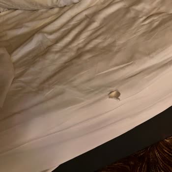 Anemon Hotels Diyarbakır Hayal Kırıklığı Oldu