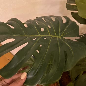 Anemon Hotels Diyarbakır Hayal Kırıklığı Oldu