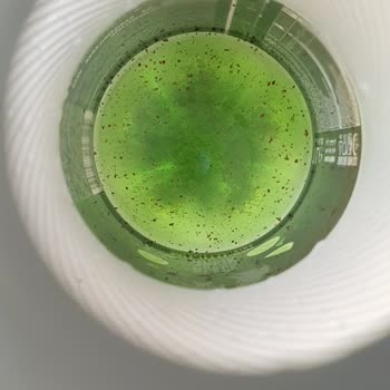 Black Bruin İçeceğinde Yabancı Madde