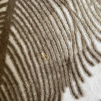 Eylül Halı Yıkama Fabrikası (Ankara) Halılarımdaki Hiçbir Leke Çıkmamış Ve Halım Yırtılmış