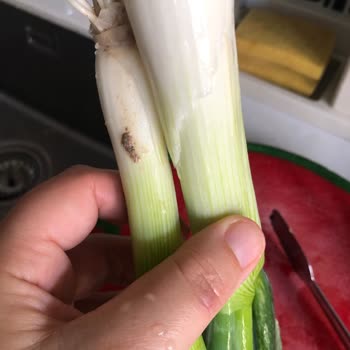 Migros Sanal Market Kalitesiz Ürün Gönderiyor