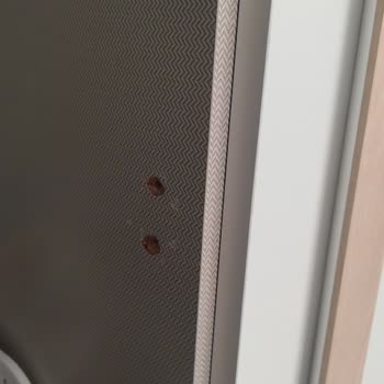Ergül Mobilya Elbise Dolap Kapağı Çıktı.