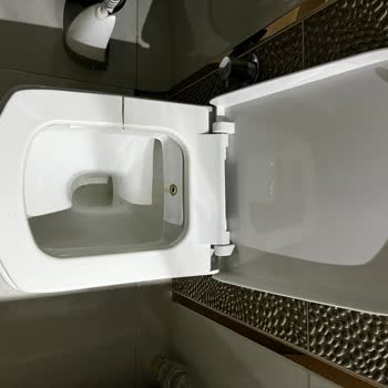 Kale Klozet Kapağı
