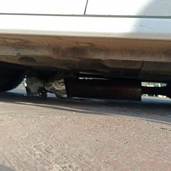 İDO Arabalı Vapurda Arabamda Hasar Meydana Gelmiştir.