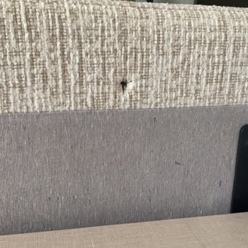 Lenova Mobilya Lenovo Mobilya Mağduriyet