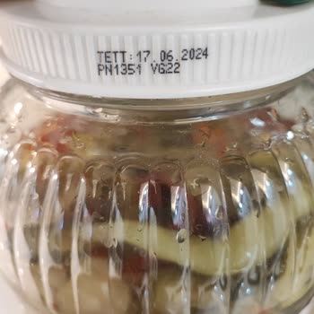 Yonca Gıda Erimiş Turşu Tatsız, Bol Tuzlu Yonca Turşu