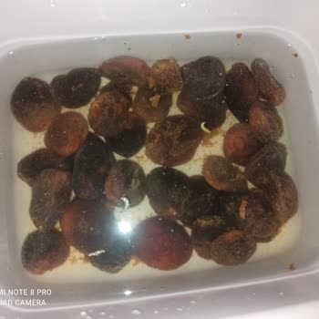 Amigo Gıda Hatası İnsan Hayatı