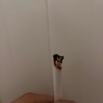 Marlboro Edge İçinden Çıkan Çöplükler