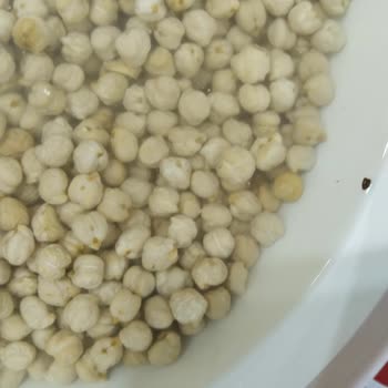 Oli Center Kuru Nohuttan Böcek Çıktı