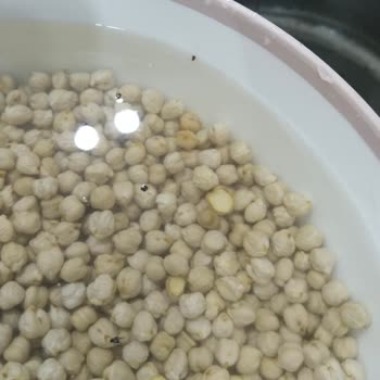 Oli Center Kuru Nohuttan Böcek Çıktı