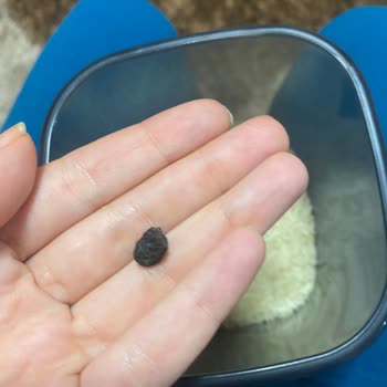 Yayla Bakliyat Tane Tane Pirinçten Taş Çıkması