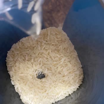 Yayla Bakliyat Tane Tane Pirinçten Taş Çıkması