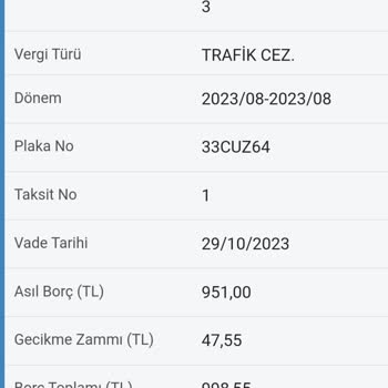 Mersin Vergi Dairesi Başkanlığı Trafik Cezası Ödedim Ama Düşmemiş