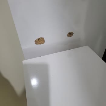 Vivense Ürün İadesi, Kargo Alımı Gecikmesi