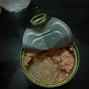 Superfresh Ton Balığı Ortası Boş