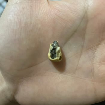 Çerezya Çıtır Leblebi Sandık Ama Taş Çıktı