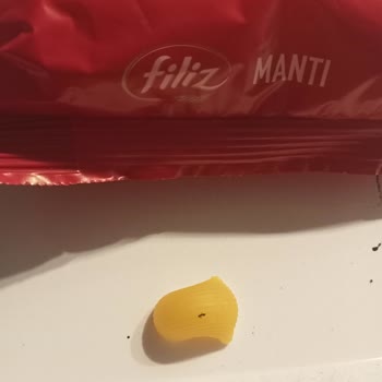 Filiz Makarna Makarnanın İçinde Ölü Karınca Çıktı