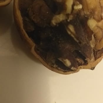 Carrefour SA Kurtlanmış Ceviz Gönderildi