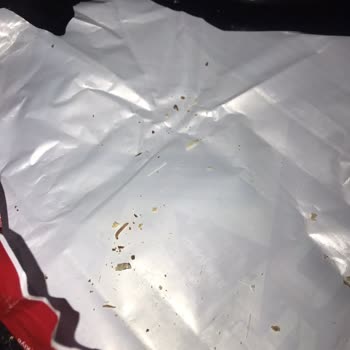 Ülker Dido Trio XXL Tan Kurt Çıktı