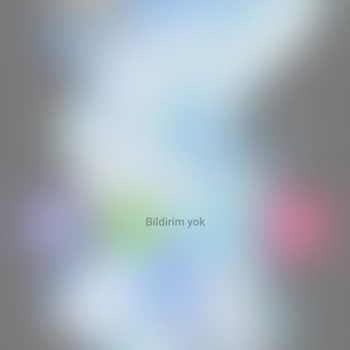 Samsung Telefon Flip 4 Ekran Hatası