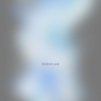 Samsung Telefon Flip 4 Ekran Hatası