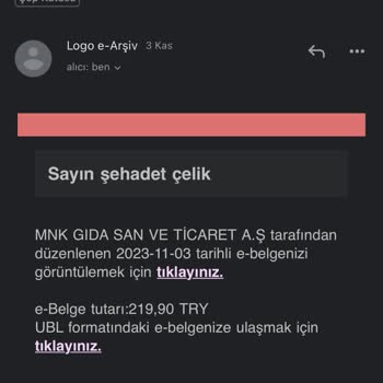 Elogo Adında Bilmediğim Bir Platformdan Asılsız Gmailler Alıyorum