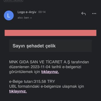 Elogo Adında Bilmediğim Bir Platformdan Asılsız Gmailler Alıyorum