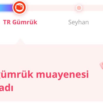 İstanbul Havalimanı Gümrük Müdürlüğü'nden Kargom Hakkında Hiçbir Haber Alamıyorum