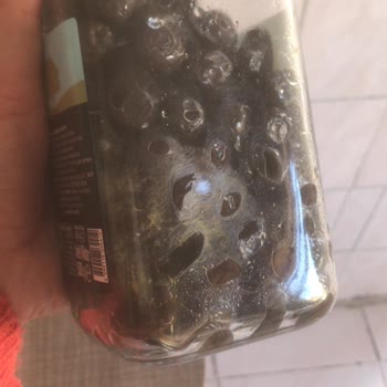 A101 Market Ürünlerinin Küflenmiş Olması