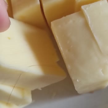 Muratbey Kaşar Saç Problemi