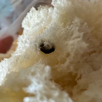 A101'den Ekmek Alırken Yaşadığım Sorun!