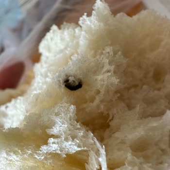 A101'den Ekmek Alırken Yaşadığım Sorun!