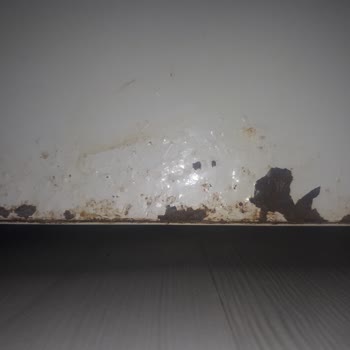 Defolu Profilo Buzdolabı Çürümesi