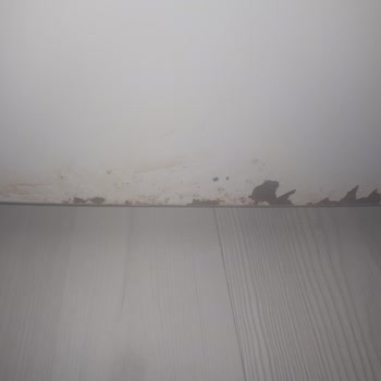 Defolu Profilo Buzdolabı Çürümesi