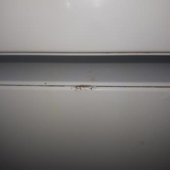 Defolu Profilo Buzdolabı Çürümesi