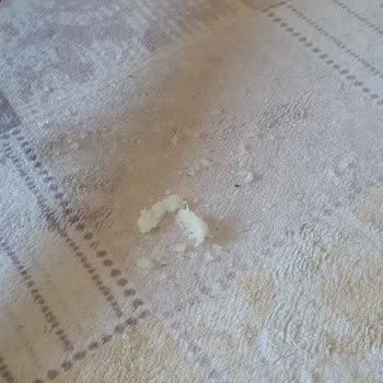 Molfix Bez Patlaması. Kimyasal Emici Madde