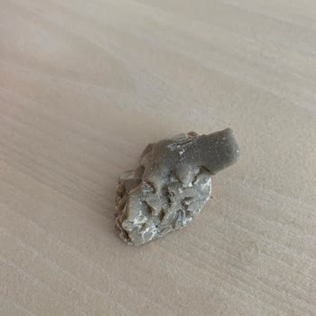 Tat Bakliyat Tat Pirinç Paketinden Çıkan Garip Nesne