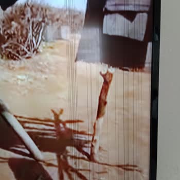 Grundig Panel Dikey Çizgileri