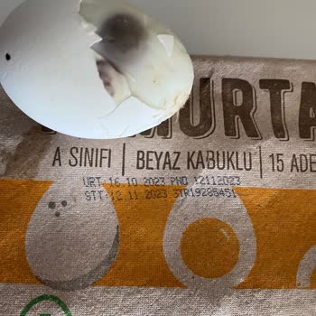 Carrefour Bozuk Yumurta Satıyor