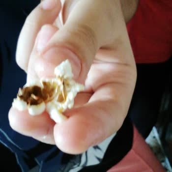 Simbat Kuruyemiş Böceklenmiş Ürün Patlatmalık Mısır