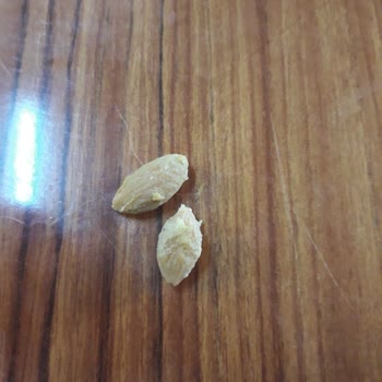 BİM BİM BİM Çekirdeksiz Ürün Diye Çekirdekli Ürün Sattı