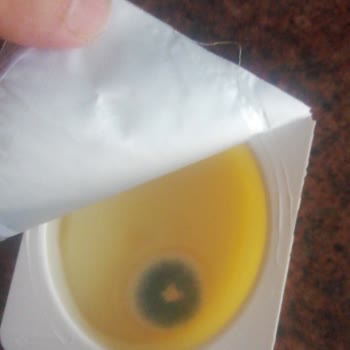 İçim Dolcia Muzlu Puding Küflü Çıktı!