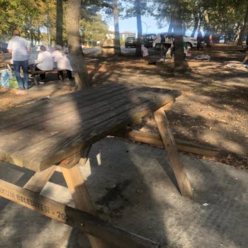 Atakum Belediyesi Samsun Alanlı Piknik Alanı Bakımsız Kalmış