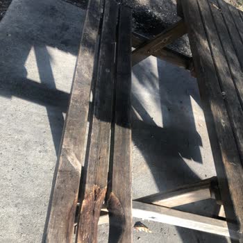 Atakum Belediyesi Samsun Alanlı Piknik Alanı Bakımsız Kalmış