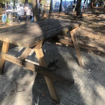 Atakum Belediyesi Samsun Alanlı Piknik Alanı Bakımsız Kalmış