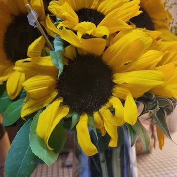 ÇiçekSepeti Kusurlu Ürün Gönderimi