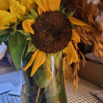 ÇiçekSepeti Kusurlu Ürün Gönderimi